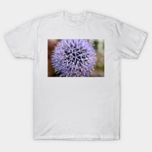 Small Globe Thistle 7 T-Shirt